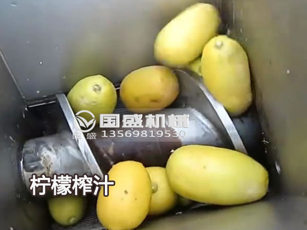 麻豆破解在线无限观看新款大型檸檬榨汁機